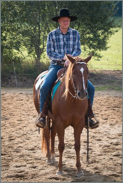 MP Stable14